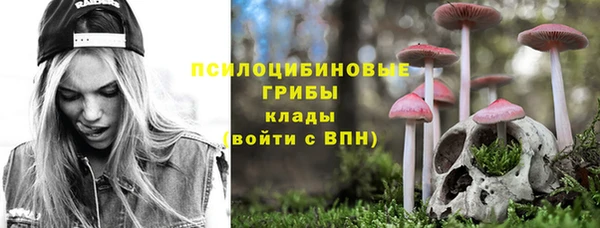 spice Переславль-Залесский