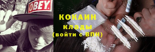 скорость Пересвет
