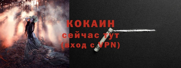 дурь Покачи