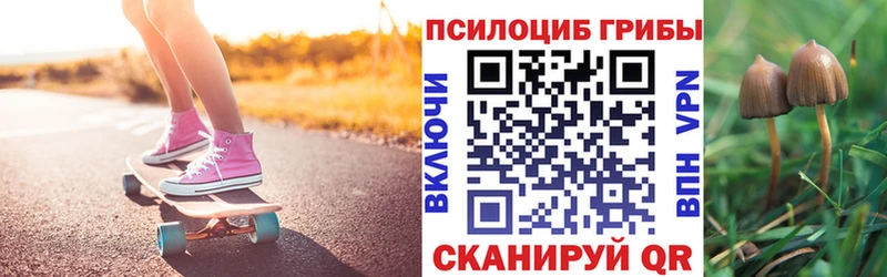 Галлюциногенные грибы MAGIC MUSHROOMS mega ТОР Княгинино купить сайты